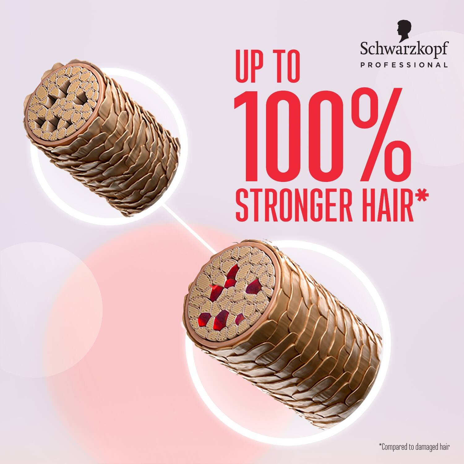 Schwarzkopf Professional Bonacure Damage Repair Combo with Arginine - (Shampoo+Conditioner+Cream)